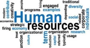 human resourcemanagement e1558504025972 300x160 - آموزش